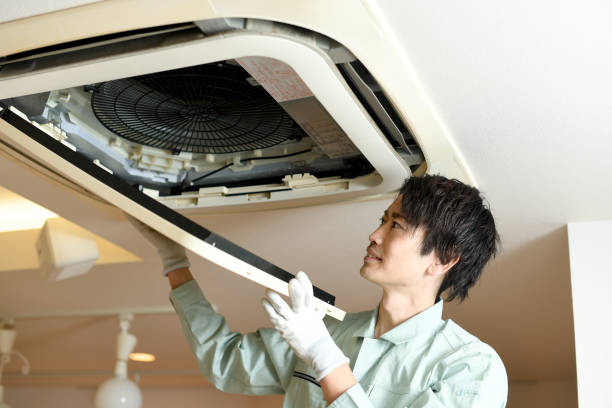 Best Residential Air Duct Cleaning  in Mcelhattan, PA