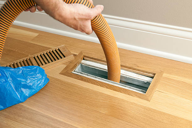 Best Air Duct Mold Removal  in Mcelhattan, PA
