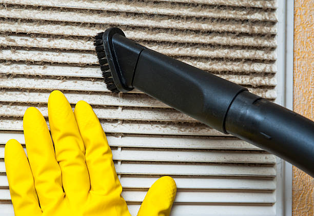 Best Local Air Duct Cleaning Services  in Mcelhattan, PA